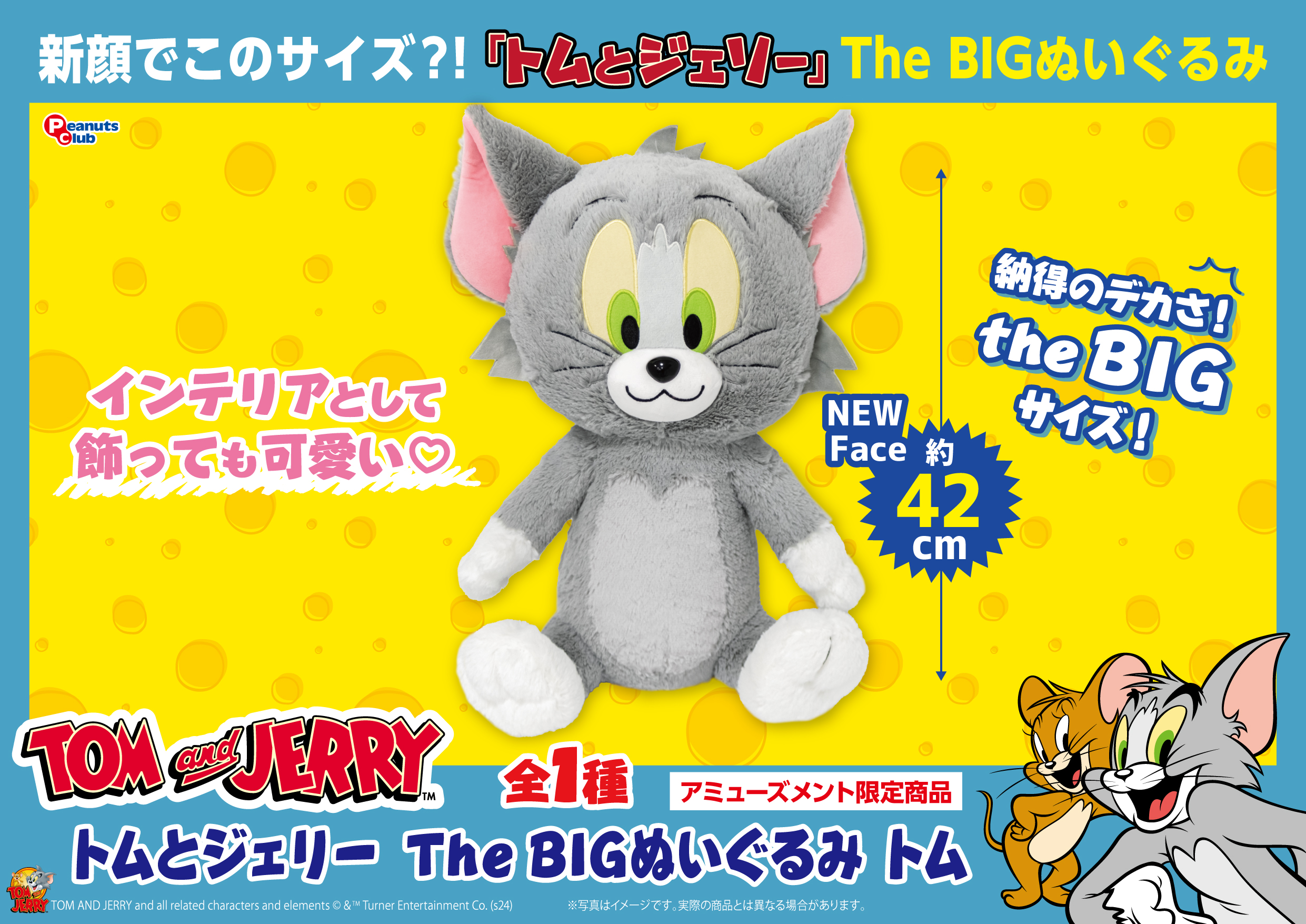 The BIG ぬいぐるみ トム ｜ 株式会社ピーナッツクラブ | Peanuts Club 