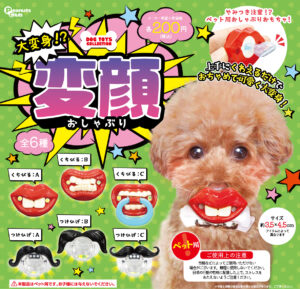 大変身！？変顔おしゃぶり