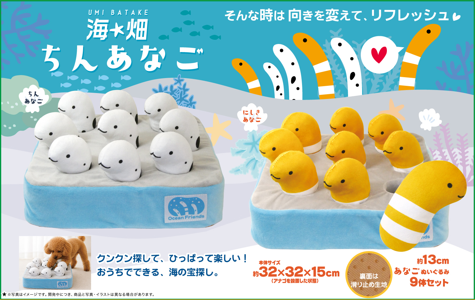 海畑 ちんあなご