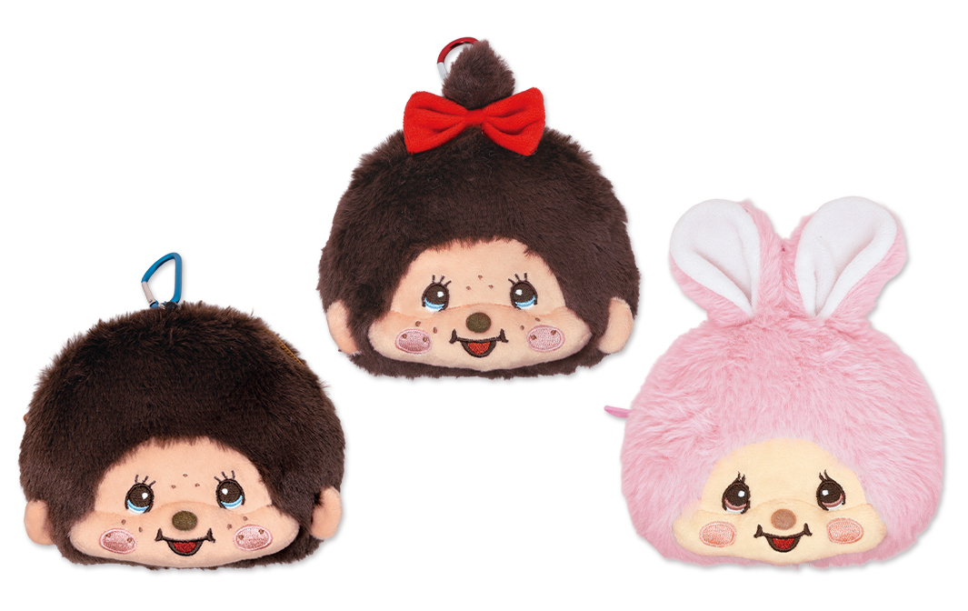 フェイスパスケース