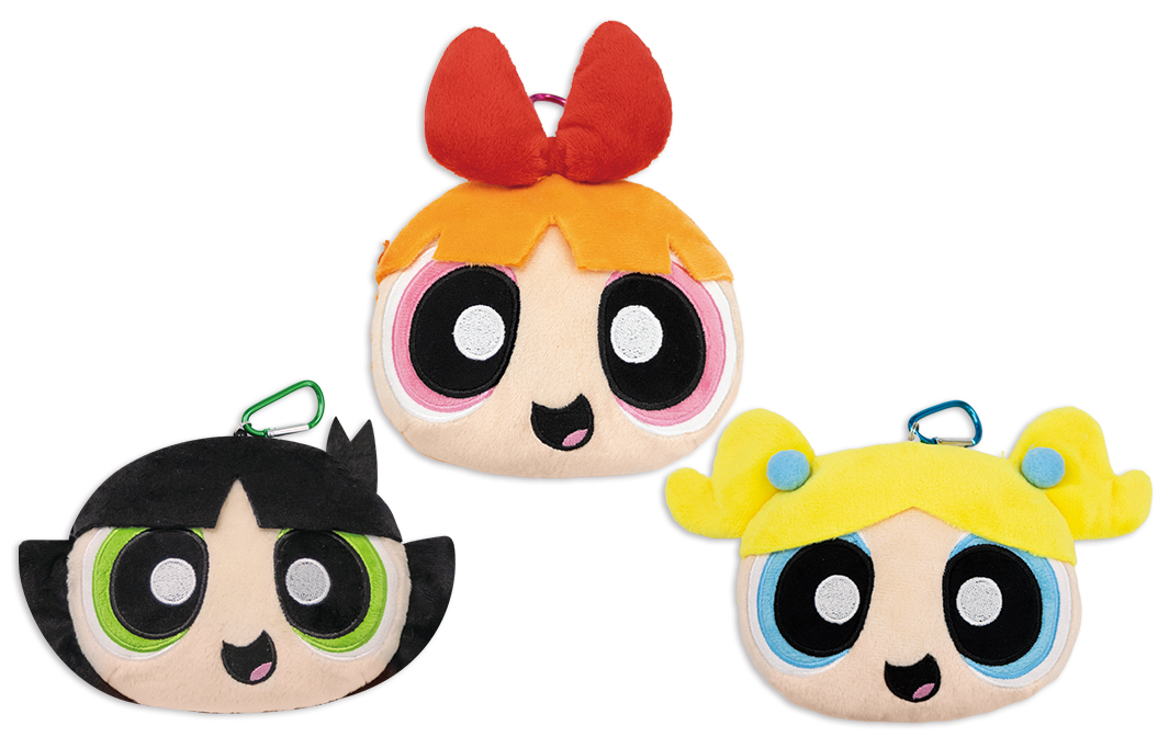 フェイスパスケース