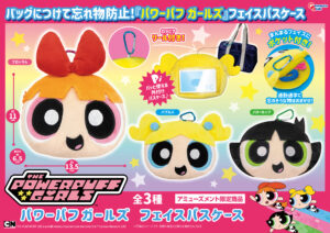 フェイスパスケース