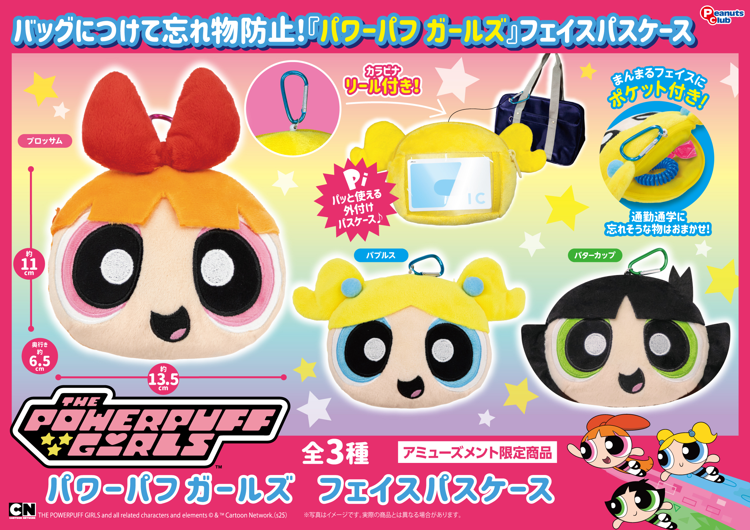 フェイスパスケース