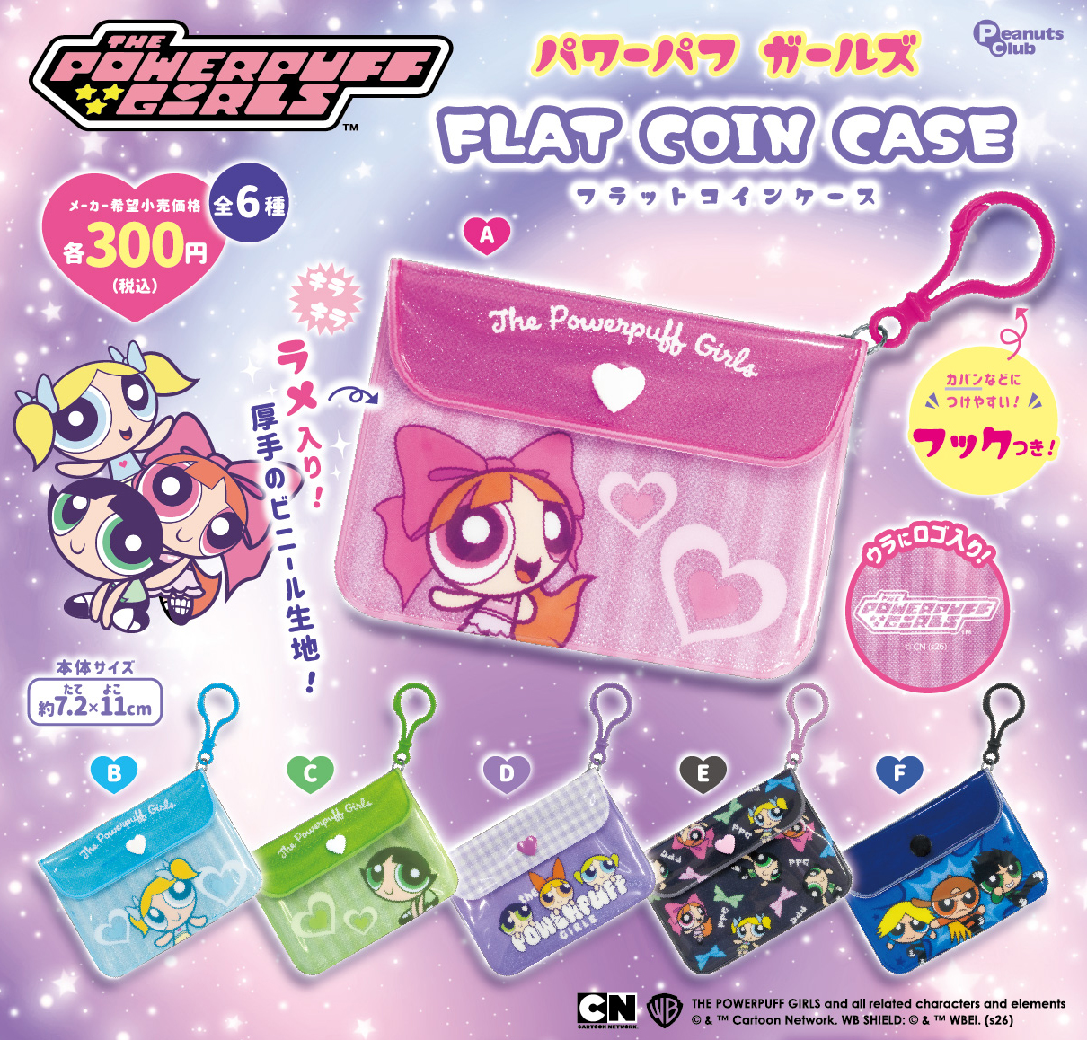 FLAT COIN CASE