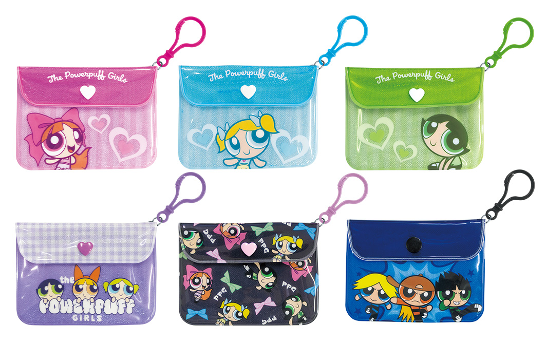 FLAT COIN CASE