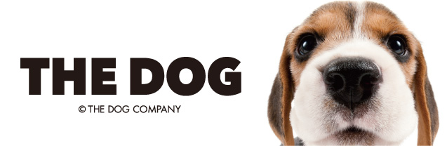 THE DOG